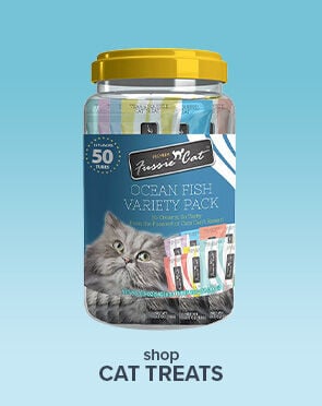 Cat Treats